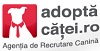 www.adoptacatei.ro - campanie menita sa incurajeze adoptarea cainilor din adaposturi